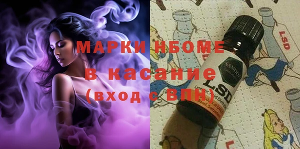 амф Новокубанск