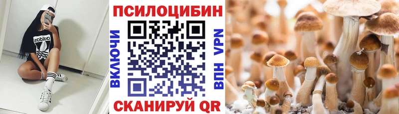 Псилоцибиновые грибы Magic Shrooms  Торопец 